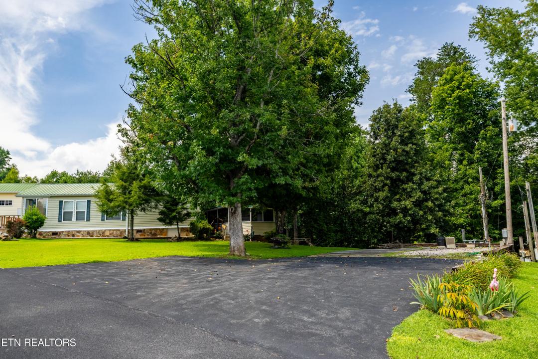 449 Mountain Thrush Drive, Townsend, Tennessee 37882, Amerika Birleşik Devletleri