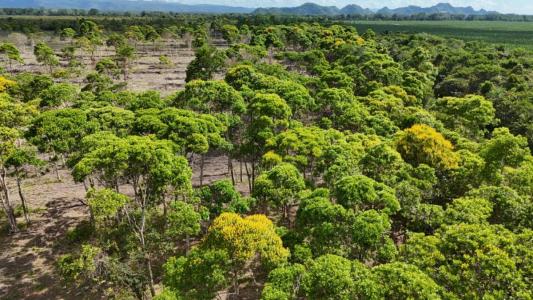 The Reserve, Stann Creek 00001, Belize