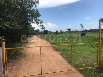 Othon P Blanco, Quintana Roo 77001, Mexique