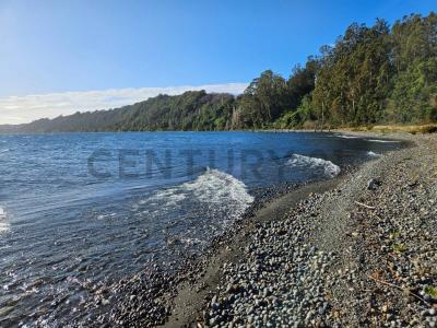 Osorno, Región De Los Lagos 00001, Chili