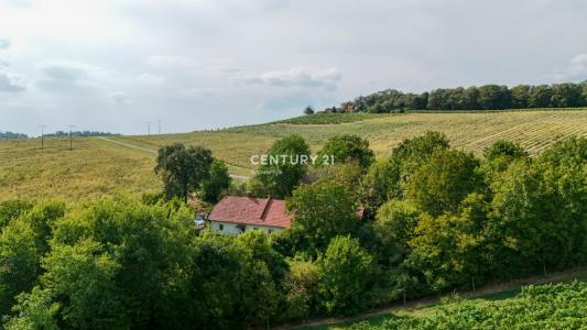 Hercegovščak, Gornja Radgona, Pomurska 9250, 斯洛維尼亞