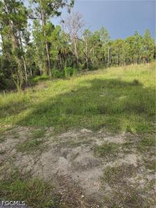 2310 Truman Avenue, Alva, Florida 33920, Stati Uniti