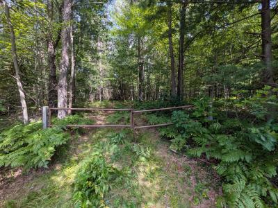 V/L 100ac S M-76, Alger, Michigan 48610, USA