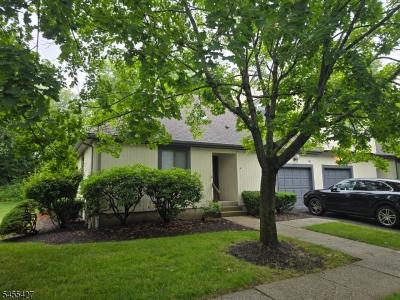 41 Arbor Cir, Bernards Twp., New Jersey 07920, USA