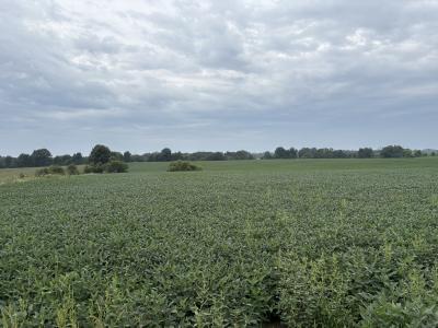 18241 Hamilton Way, Kirksville, Missouri 63501, USA
