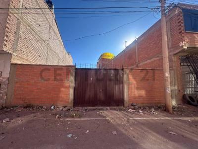 Delicias, Potosí 00001, 볼리비아