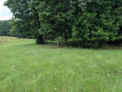 580 Preservation Dr. Lot 32, South Pittsburg, Tennessee 37380, USA