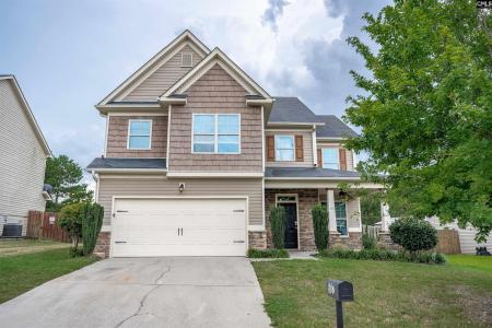 507 Sagauro Court, Lexington, Caroline Du Sud 29073, États-Unis