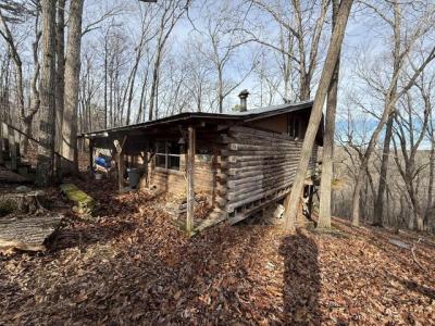 000 Private Road 422-17, Birch Tree, Missouri 65438, USA