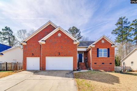 137 Oldtown Drive, Lexington, Caroline Du Sud 29072, États-Unis