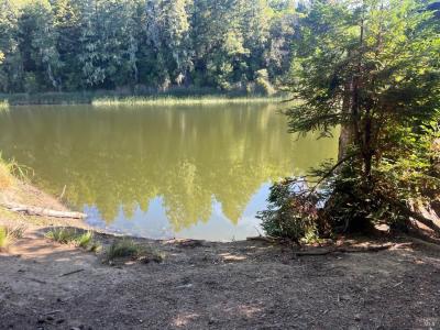 2114 Poppy Lane, Willits, California 95490, USA