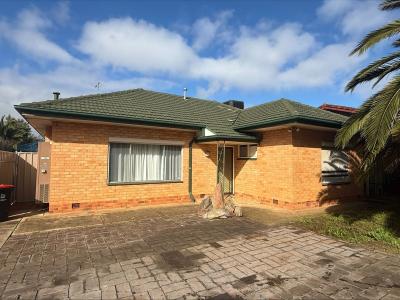 295 Milne Road, Modbury North, SA 5092, Australia