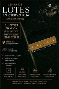 Avenida Ciervo Kua , San Bernardino, Cordillera 00001, Paraguay
