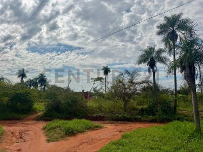 Calle Sin Nombre, a cuadras Avda. Virgen del Rosario, Barrio Toledo Cañada, Capiatá , Capiatá, Central 00001, Paraguay