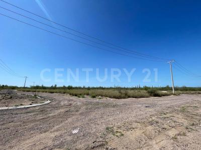 S/N S/N,, La Paz, Baja California Sur 23089, Mexico