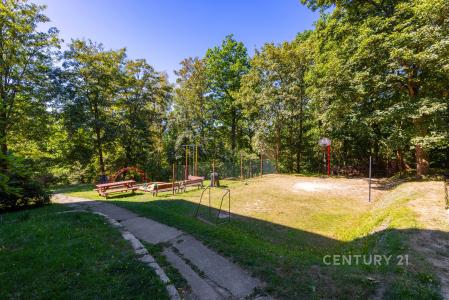 Purkyňova, Liberec, Liberec 46014, Cộng Hòa Séc