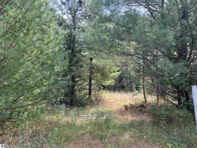 0 Cedar Lake Road, Greenbush, Michigan 48738, USA