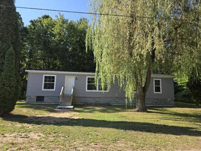 685 S Bingham Avenue, White Cloud, Michigan 49349, USA