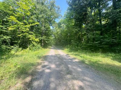 80 AC off Federal Forest Road, Iron River, Michigan 49935, USA