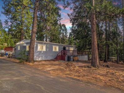 16565 Prospect Place #115, Pioneer, Californie 95666, États-Unis