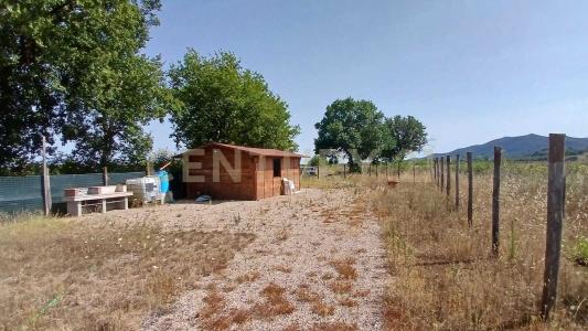 VIA BADIA VECCHIA, Castiglione Della Pescaia, Toscana 58043, Ý