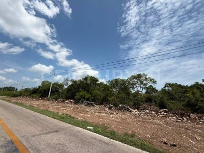Ucu, Yucatán 97357, Mexico