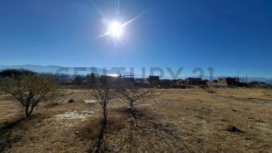 San blas, Tarija 00001, Bolivia
