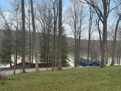 559 Hickman Shores Rd, Dover, Tennessee 37058, États-Unis