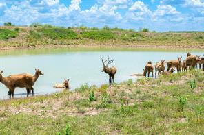 2671 Fm 2926, Clyde, Texas 79510, USA