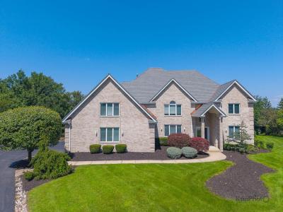 15120 Alpine Drive, Orland Park, Illinois 60467, USA