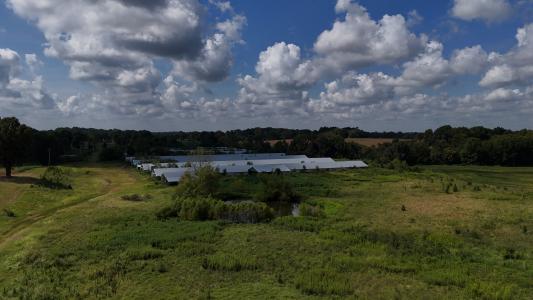 Loyce Laster Rd, Union City, Tennessee 38261, États-Unis