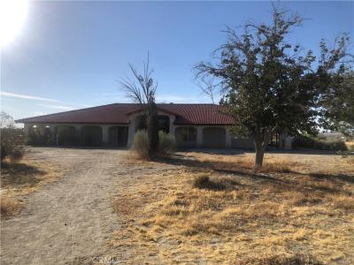 6888 Bookasta, Adelanto, California 92301, USA