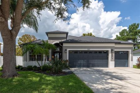 3307 Chessington Drive, Land O Lakes, Florida 34638, USA