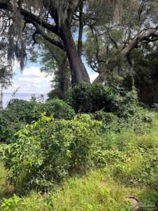 12820 Lillian Hwy, Pensacola, Florida 32506, USA