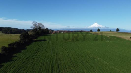 Osorno, Región De Los Lagos 00001, Chili