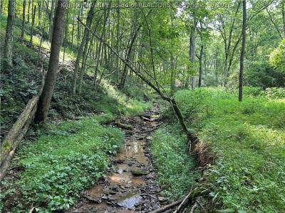 1640 Charleston Road, Spencer, West Virginia 25276