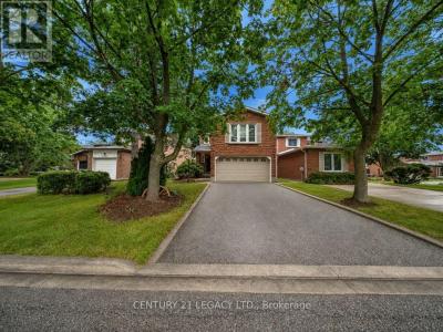 6772 DOLMAGE COURT, Mississauga (meadowvale), Ontario L5N 4V9, Canada