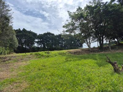 Concepción San Rafael, Heredia 00001, Costa Rica