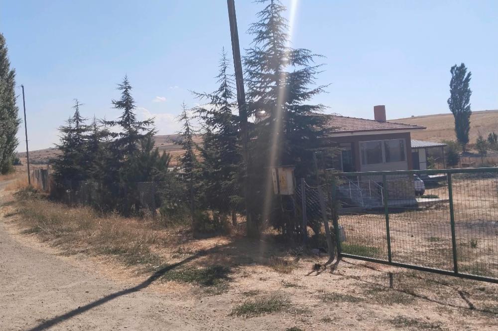 Eskişehir, Türkei