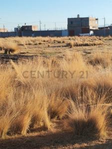 San Román, Puno 00001, بيرو
