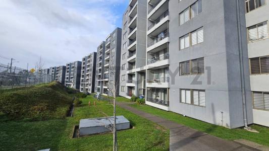 Concepción, Región Del Biobío 00001, Chile