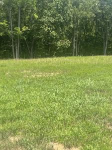 0 Summer Lake Ct, Lot 8, Winchester, Tennessee 37398, USA
