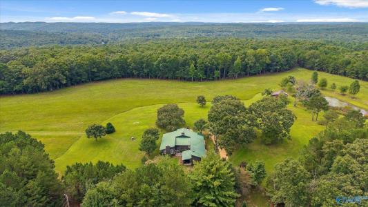 223 County Road 644, Mentone, Alabama 35984, États-Unis