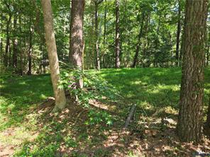 12731 Donegal Drive, Chesterfield, Virginia 23832, USA