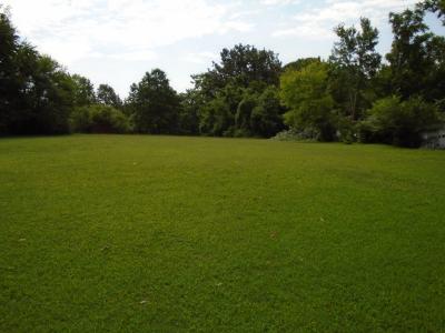 2503 Memorial Blvd, Springfield, Tennessee 37172, USA
