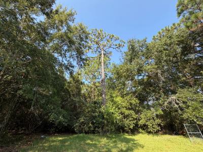 000 N 28th Ave, Milton, فلوريدا 32583, الولايات المتحدة