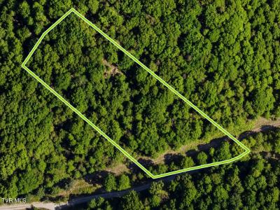 Tbd Hickman Hollow Road, Surgoinsville, Tennessee 37873, Stati Uniti