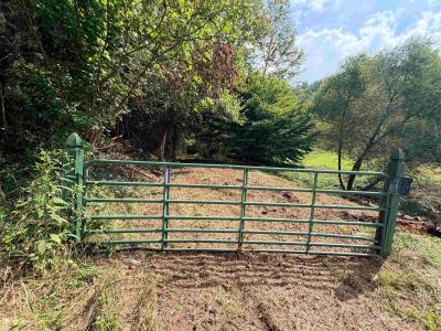 6370 Camp Creek Road, Huntington, West Virginia 25701, USA