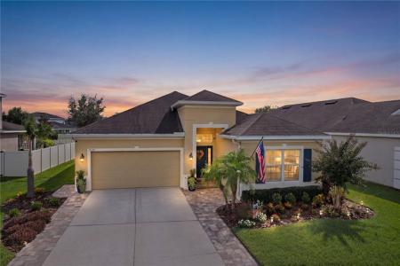 17527 Bright Wheat Drive, Lithia, Florida 33547, USA