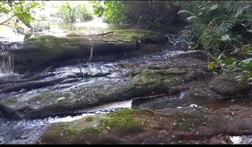 Pirebebuy, Cordillera 00001, Le Paraguay
